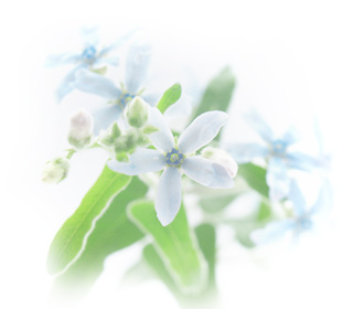 �T���v��